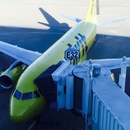 Cozumel 2015 (361737)