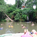 Krause Springs (361603)