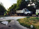 Driveway Destruction (361693)