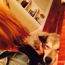 Abel and Mike's (361536)