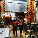 Art Prize 7 (361503)