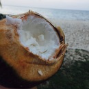 Cozumel 2015 (361689)