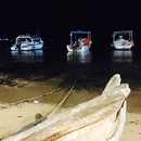 Cozumel 2015 (361526)