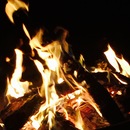 Random iPhone Shots (361538)