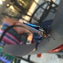 Ronald McDonald House (361621)