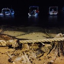 Cozumel 2015 (361663)