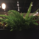 Random iPhone Shots (361517)