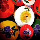 Random iPhone Shots (361686)