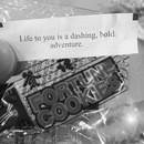 Random iPhone Shots (361683)