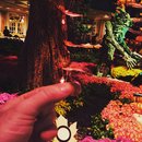 ZendCon 2015 and Vegas (372821)