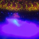 ZendCon 2015 and Vegas (372825)