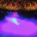 ZendCon 2015 and Vegas (372837)