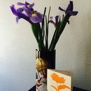 14/48 Festival (372865)