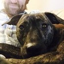 Drew and Emma's Dog (373128)