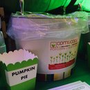 Shear the Beard (373060)