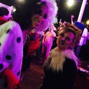 Halloween HFest (373117)