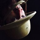 Halloween HFest (373144)