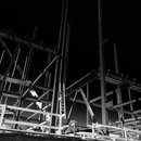 Random iPhone Shots (375666)