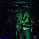 Steady Legend (375759)