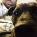 Drew and Emma's Dog (373203)