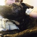 Drew and Emma's Dog (373176)