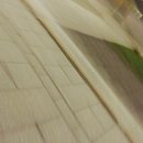 Quebec City (381430)