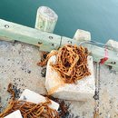 Edmunston, Dalhousie, and Moncton (382217)