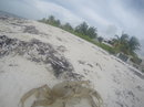 Cozumel 2015 GoPro Reel (441289)