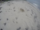 Cozumel 2015 GoPro Reel (441231)