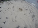 Cozumel 2015 GoPro Reel (441276)