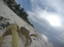 Cozumel 2015 GoPro Reel (441298)