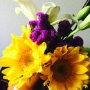 Felip in Austin (447156)