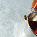 Felip in Austin (447150)