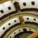 Felip in Austin (447105)