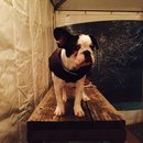 Dreux's Starwars Birthday (448333)