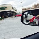 Nephew's Christmas (448323)