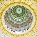 Felip in Austin (447186)