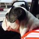 Nephew's Christmas (448289)