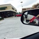 Nephew's Christmas (448326)