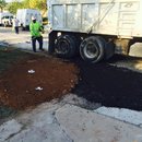 Plumbing and Shed (448338)