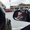 Nephew's Christmas (448559)