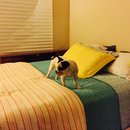 Rehearsal and Studio Time (448508)