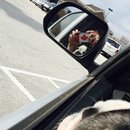 Nephew's Christmas (448472)