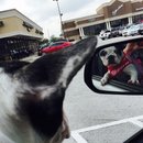 Nephew's Christmas (448457)