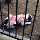 Nephew's Christmas (448538)