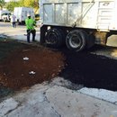 Plumbing and Shed (448405)