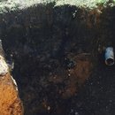 Plumbing and Shed (448418)