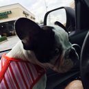 Nephew's Christmas (448500)