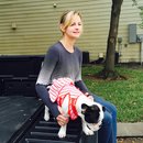 Nephew's Christmas (448342)