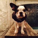 Dreux's Starwars Birthday (448350)